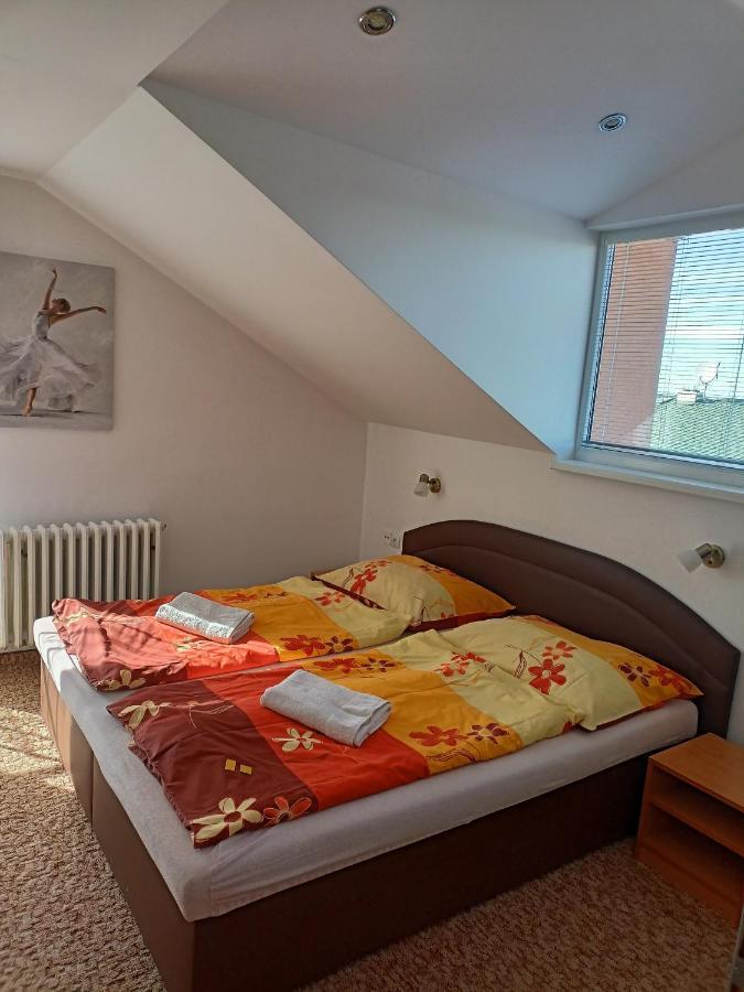 Apartman Zlata Rybka Podhájska Εξωτερικό φωτογραφία